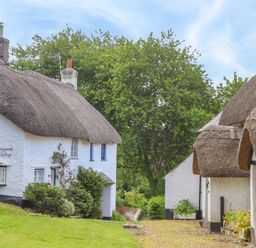 A view of thatched cottages and a green garden at Little Gate Cottage in North Bovey