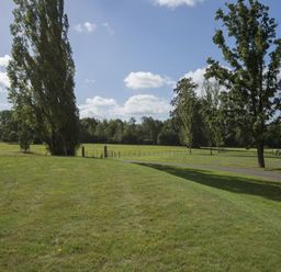A grassy field with tall trees and a paved path under a blue sky at Gardeners Cottage in Talaton near Ottery St Mary