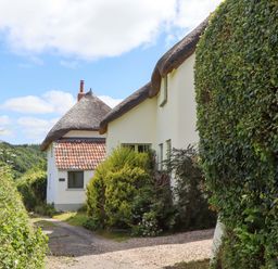 A house with a thatched roof and garden at Hope Cottage in Riddlecombe, near Winkleigh