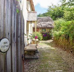An outdoor path leading to Hope Cottage in Riddlecombe, near Winkleigh