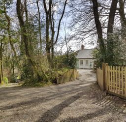 A gravel driveway leading to a house surrounded by trees and a wooden fence at Hedgelea in North Tawton