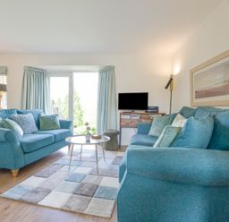A living room with two blue sofas a patterned rug and a TV on a wooden stand at Linney Cottage in Dittisham