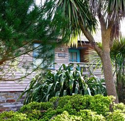 Exterior of a wooden house partially obscured by trees and shrubs at Grandpa Dicksons in Little Petherick