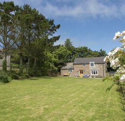 A grassy yard with trees and a stone house with wooden benches at Salty Cottage in Morwenstow