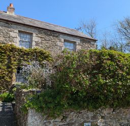 Stone cottage with two windows and garden shrubs at Swift Cottage in Mawgan-in-Meneage near Helston