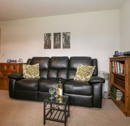 A living room with a black leather sofa two patterned cushions a wooden cabinet a wooden bookshelf with books and a small table with a bottle and glasses at The Old Goat Barn at Trout Cottage in Somerton