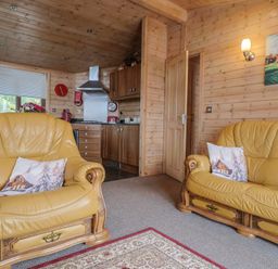 A living room with yellow sofas and kitchen area at The Cabin at East Hill Pride Four Elms Hill Nr. Sidmouth