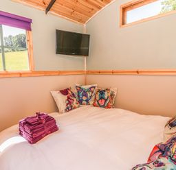 A bedroom with a bed featuring colorful dog pillows a stack of purple towels a window with a purple blind and a wall-mounted TV at Railway Carriage in Govilon