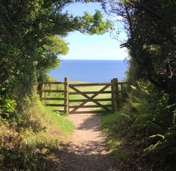 A dirt path leading to a wooden gate with greenery on both sides and a view of the ocean beyond at The Coach House at Pendower House in Fowey