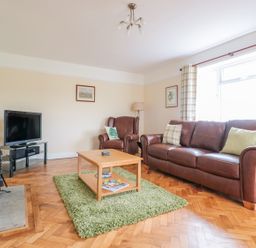 A living room with a leather sofa and armchair a wooden coffee table on a green rug a television near a fireplace at Bower View in Madley