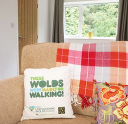 A beige sofa with a white pillow, a plaid throw, and a floral pillow near a window with curtains at Heron Lodge in Mavis Enderby near Spilsby