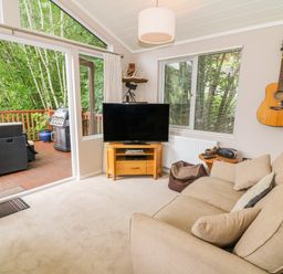 A living room with a beige sofa TV on a wooden stand guitar on the wall and sliding door to a deck with outdoor furniture at Willow Lodge in Troutbeck Bridge