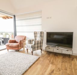 A living room with two armchairs a television on a stand and a rug on the floor at Swan Lodge Castle Farm in Wedmore