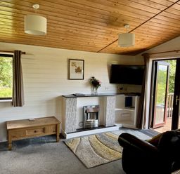 A living room with a fireplace and television at Willow Lodge in Constantine near Falmouth