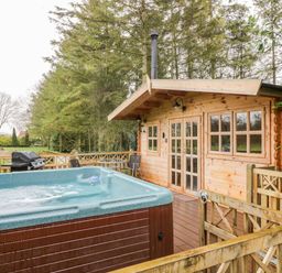 An outdoor deck with a hot tub a wooden cabin a barbecue grill and patio chairs surrounded by trees at Someplace Else in Diss
