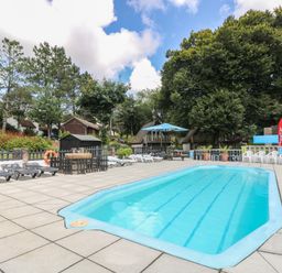 An outdoor swimming pool with lounge chairs umbrellas and trees at Valley Lodge 48 in Callington