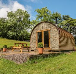 A small cabin with stone front and wooden sides with glass doors a picnic table and potted plants outside in a grassy area with trees at Dingle Den in Craswall