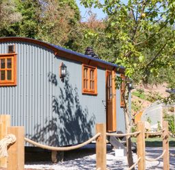 An outdoor area with a grey corrugated metal cabin with wooden windows and door a tree a greenhouse and a wooden fence with rope at Little Silver Fox in High Bickington