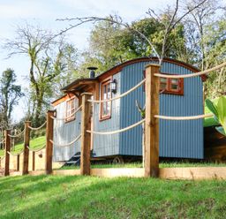 A small blue corrugated metal cabin with wooden window frames behind a rope fence on a grassy hill with trees in the background at Little Silver Fox in High Bickington