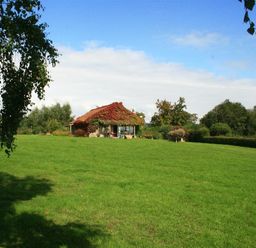A small house with a red roof covered in vines surrounded by a large green grassy field and trees at The Piggery in Lydney