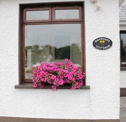 A window with pink flowers on the sill and a sign saying Daffodil Cottage on a white wall at Daffodil Cottage in Grange County Sligo