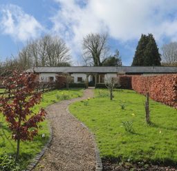 A gravel path through a garden with trees and daffodils leading to a single story house at Pippin in Martin