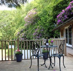 A balcony with a small metal table and two chairs surrounded by plants and flowers at Treetops in Woody Bay