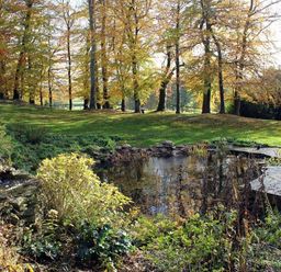 An outdoor garden area with a small pond surrounded by plants and trees with autumn foliage at The Folly at Castlebridge in Mere