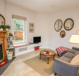 A living room with a fireplace plants and a television by a window at East Lodge in Rockbourne