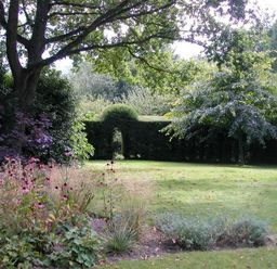 A garden with trees shrubs and a hedge with an arch opening at The Yeoman's House in Bignor