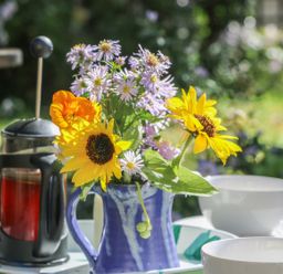 A blue mug with flowers and a French press with two white cups on a tray at The Daffodil Shed in Bere Alston