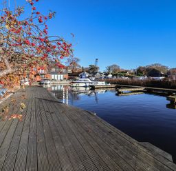 A marina with boats and a tree by the water at Daisy Lodge in Norwich