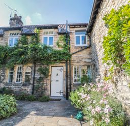 A stone cottage with white windows and door surrounded by green plants and flowers at Teviot Cottage in Corbridge