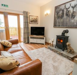 A living room with a leather sofa pillows rug wood stove and a television at Wagtail Nest Northfield Cottage Scalby