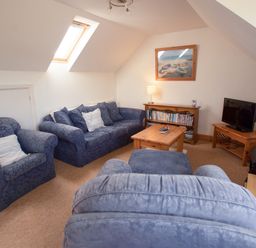 A living room with blue sofas a wooden coffee table a bookshelf a TV on a wooden stand and a skylight window at Bramble Cottage in Newgale
