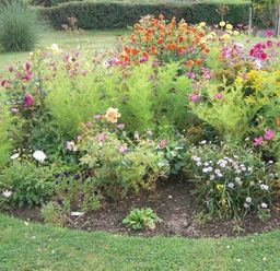 A flower bed with various colorful flowers and greenery in a garden setting at Grazeland Cottage in Bridport