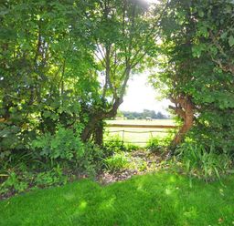 A garden area with green grass trees and a wooden fence looking out to a field with a horse at Warmwell Lodge in Warmwell