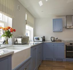 A kitchen with blue cabinets a sink oven microwave and flowers on the counter at 3 Eddystone Row in Salcombe