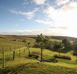 A grassy field with trees a wooden bench and a fence under a blue sky at The Granary Malborough