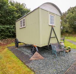 A green shepherds hut on wheels with benches and flower pots on gravel at Shepherds Hut - The Hurdle in Rosemarket
