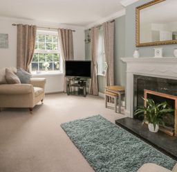 A living room with beige armchairs a green rug a black marble fireplace with a plant a television and windows with curtains at Humble Bee Cottage in Wold Newton near Hunmanby