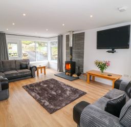 A living room with sofas a wood stove a rug and a wall mounted tv at Llwyd Coed Canol in Llanllyfni near Penygroes