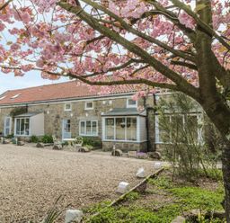 A stone house with a gravel driveway and outdoor seating under a tree with pink blossoms at Robin Cottage in Morpeth