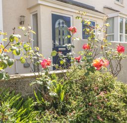 A front garden with rose bushes and greenery in front of a house with a blue door at 1 Orchard Cottages in Salcombe