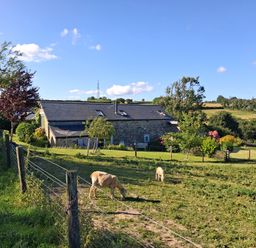 A house with sheep grazing in the field at Owl Barn Tavistock
