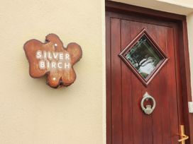 Silver Birch - County Clare - 1000098 - thumbnail photo 4