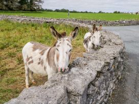 Cherry Tree Cottage - Westport & County Mayo - 1002181 - thumbnail photo 26