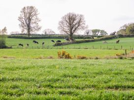 Old Village Barn - Shancroagh & County Galway - 1006441 - thumbnail photo 30