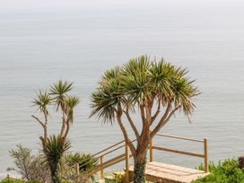 Beach House - County Wexford - 1008397 - thumbnail photo 18
