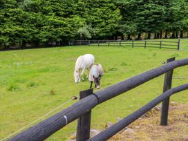 Drummond - South Ireland - 1020628 - thumbnail photo 30